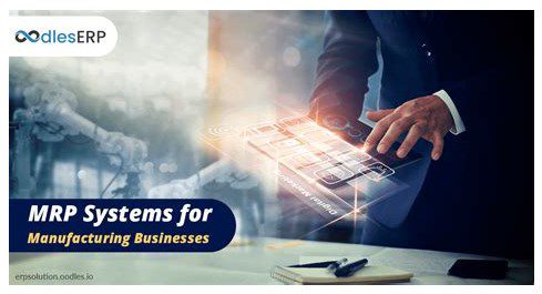 Small Business Mrp System